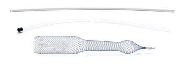 Alaxo Hybrid Stent